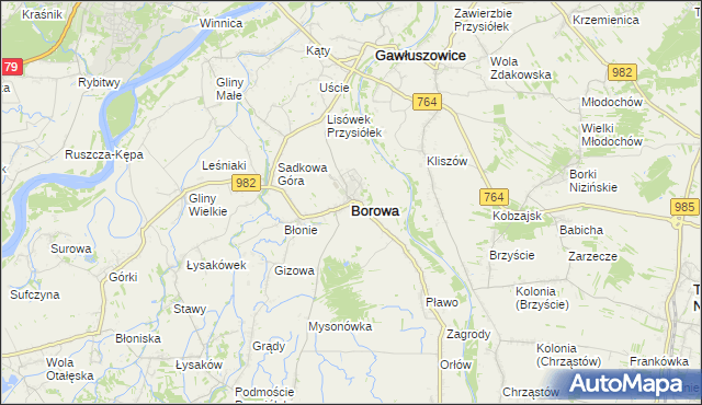 mapa Borowa powiat mielecki, Borowa powiat mielecki na mapie Targeo