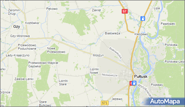 mapa Moszyn, Moszyn na mapie Targeo