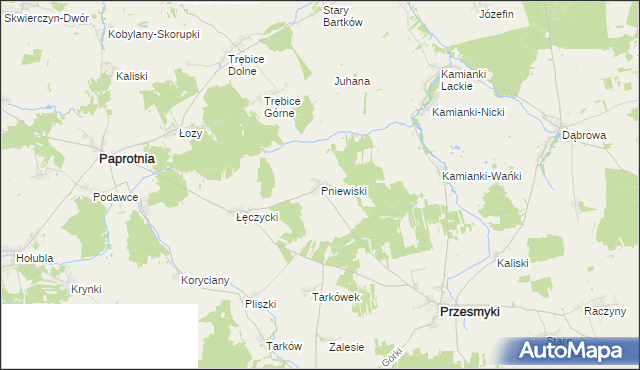 mapa Pniewiski, Pniewiski na mapie Targeo