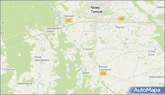 mapa Chojniki gmina Nowy Tomyśl, Chojniki gmina Nowy Tomyśl na mapie Targeo