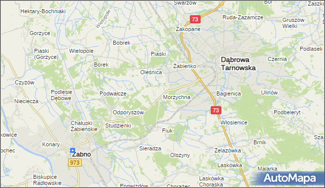 mapa Morzychna, Morzychna na mapie Targeo