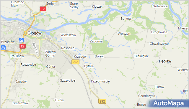 mapa Borek gmina Głogów, Borek gmina Głogów na mapie Targeo