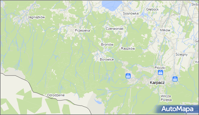 mapa Borowice gmina Podgórzyn, Borowice gmina Podgórzyn na mapie Targeo