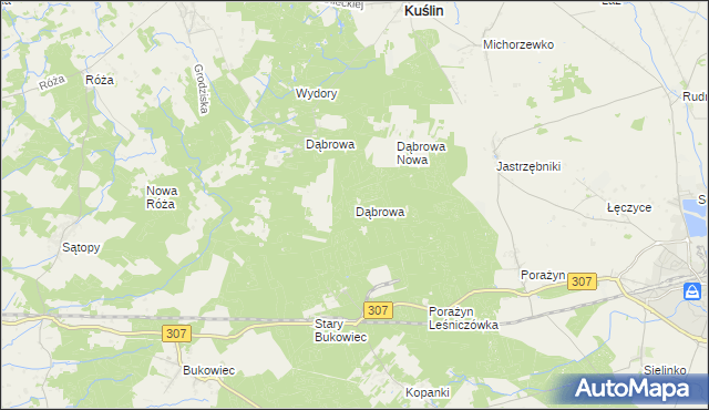 mapa Dąbrowa gmina Opalenica, Dąbrowa gmina Opalenica na mapie Targeo