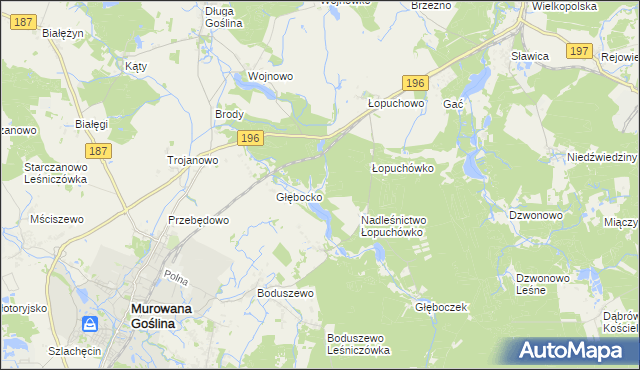 mapa Worowo gmina Murowana Goślina, Worowo gmina Murowana Goślina na mapie Targeo