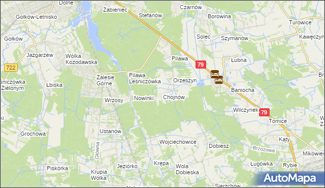 mapa Chojnów gmina Piaseczno, Chojnów gmina Piaseczno na mapie Targeo