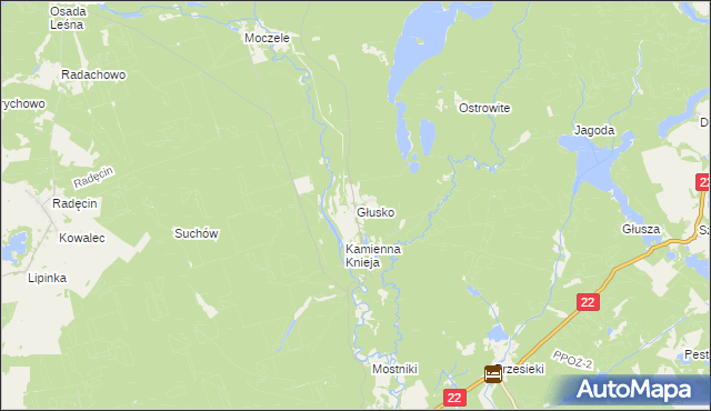 mapa Głusko, Głusko na mapie Targeo