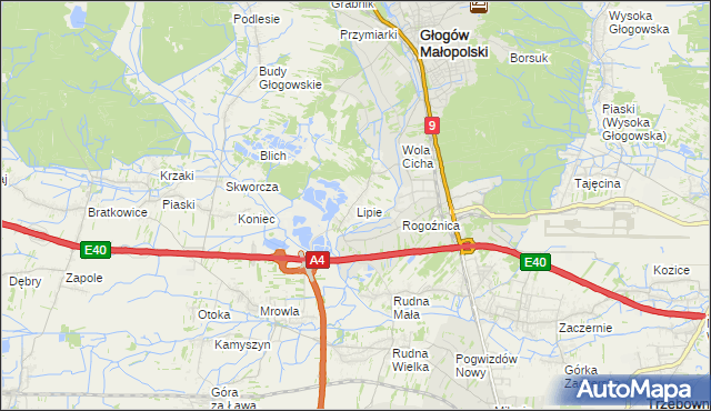 mapa Lipie gmina Głogów Małopolski, Lipie gmina Głogów Małopolski na mapie Targeo