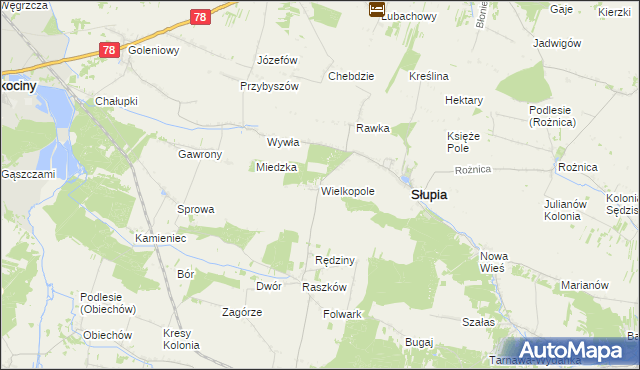 mapa Wielkopole gmina Słupia, Wielkopole gmina Słupia na mapie Targeo