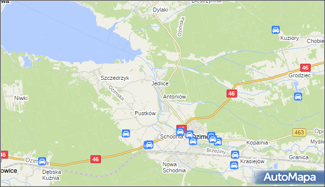 mapa Antoniów gmina Ozimek, Antoniów gmina Ozimek na mapie Targeo