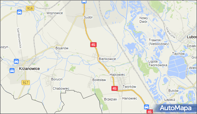 mapa Bieńkowice gmina Krzyżanowice, Bieńkowice gmina Krzyżanowice na mapie Targeo