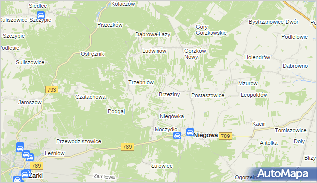mapa Brzeziny gmina Niegowa, Brzeziny gmina Niegowa na mapie Targeo