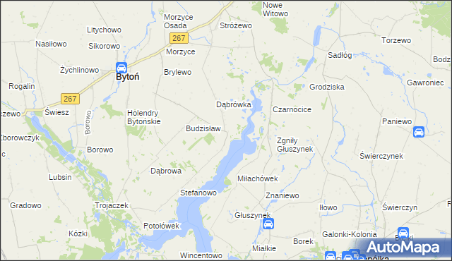 mapa Głuszyn gmina Bytoń, Głuszyn gmina Bytoń na mapie Targeo