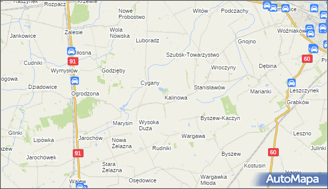 mapa Kalinowa gmina Kutno, Kalinowa gmina Kutno na mapie Targeo