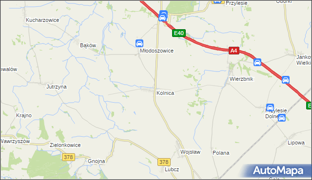 mapa Kolnica gmina Grodków, Kolnica gmina Grodków na mapie Targeo