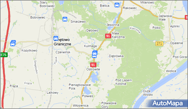 mapa Kolonia Ostrowicka, Kolonia Ostrowicka na mapie Targeo