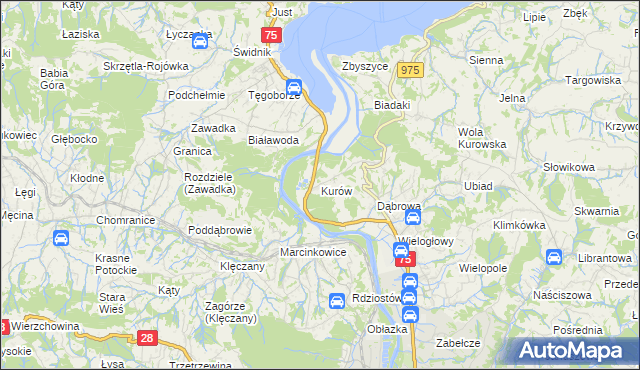mapa Kurów gmina Chełmiec, Kurów gmina Chełmiec na mapie Targeo