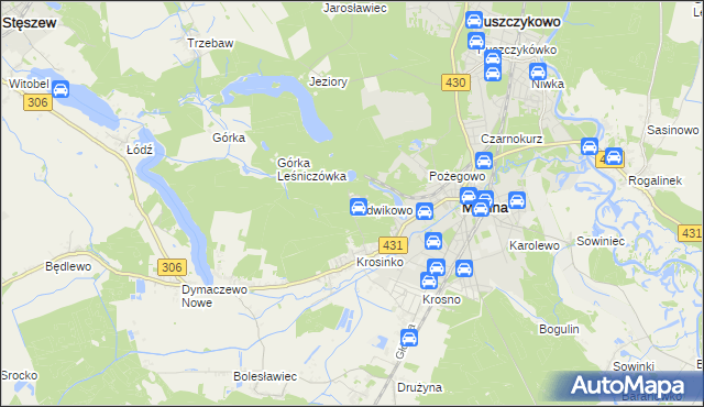 mapa Ludwikowo gmina Mosina, Ludwikowo gmina Mosina na mapie Targeo