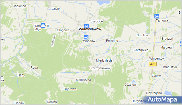 mapa Mariantów gmina Władysławów, Mariantów gmina Władysławów na mapie Targeo