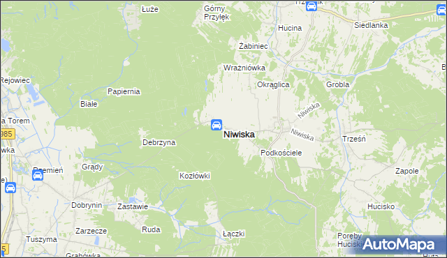 mapa Niwiska powiat kolbuszowski, Niwiska powiat kolbuszowski na mapie Targeo