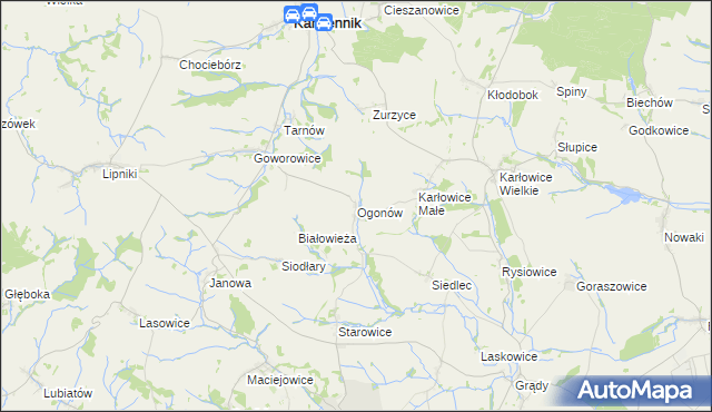 mapa Ogonów gmina Kamiennik, Ogonów gmina Kamiennik na mapie Targeo