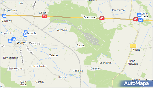 mapa Planta gmina Wohyń, Planta gmina Wohyń na mapie Targeo