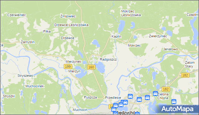 mapa Radgoszcz gmina Międzychód, Radgoszcz gmina Międzychód na mapie Targeo