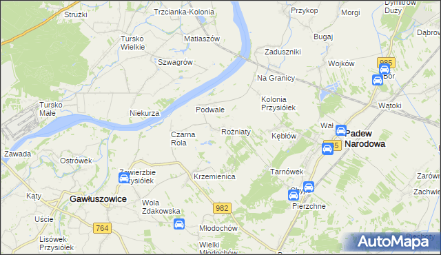 mapa Rożniaty gmina Padew Narodowa, Rożniaty gmina Padew Narodowa na mapie Targeo