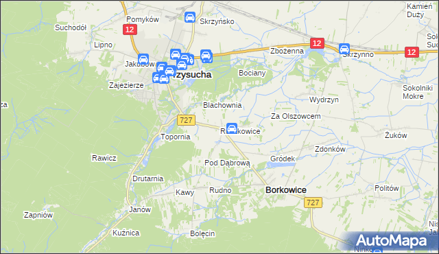 mapa Ruszkowice gmina Borkowice, Ruszkowice gmina Borkowice na mapie Targeo