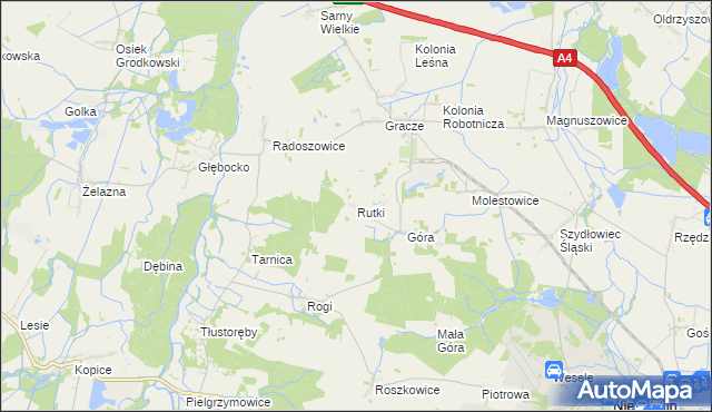 mapa Rutki gmina Niemodlin, Rutki gmina Niemodlin na mapie Targeo