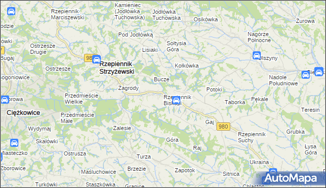 mapa Rzepiennik Biskupi, Rzepiennik Biskupi na mapie Targeo