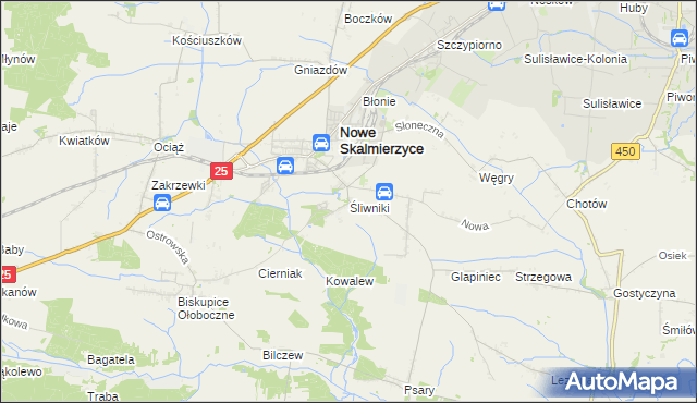 mapa Śliwniki gmina Nowe Skalmierzyce, Śliwniki gmina Nowe Skalmierzyce na mapie Targeo