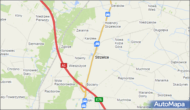 mapa Strzelce powiat kutnowski, Strzelce powiat kutnowski na mapie Targeo