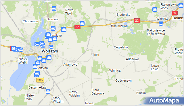 mapa Tłoki gmina Wolsztyn, Tłoki gmina Wolsztyn na mapie Targeo