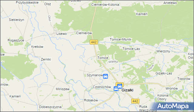 mapa Tomice gmina Gizałki, Tomice gmina Gizałki na mapie Targeo
