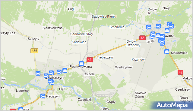 mapa Trębaczew gmina Działoszyn, Trębaczew gmina Działoszyn na mapie Targeo