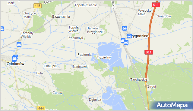 mapa Trzcieliny gmina Przygodzice, Trzcieliny gmina Przygodzice na mapie Targeo