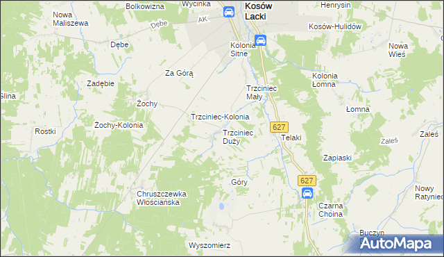 mapa Trzciniec Duży, Trzciniec Duży na mapie Targeo