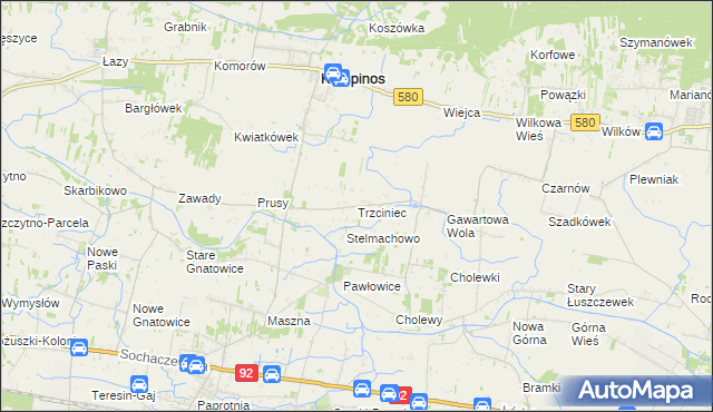 mapa Trzciniec gmina Leszno, Trzciniec gmina Leszno na mapie Targeo