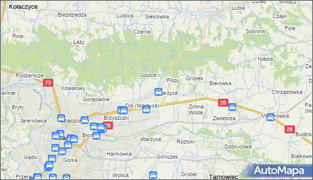 mapa Warzyce, Warzyce na mapie Targeo