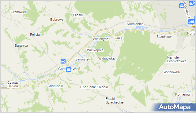 mapa Widniówka gmina Gorzków, Widniówka gmina Gorzków na mapie Targeo