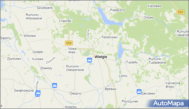 mapa Wielgie powiat lipnowski, Wielgie powiat lipnowski na mapie Targeo