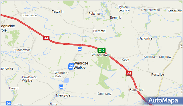 mapa Wierzchowice gmina Wądroże Wielkie, Wierzchowice gmina Wądroże Wielkie na mapie Targeo