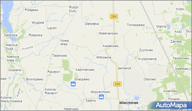 mapa Witkowice gmina Wierzbinek, Witkowice gmina Wierzbinek na mapie Targeo