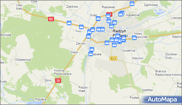 mapa Zabiele gmina Radzyń Podlaski, Zabiele gmina Radzyń Podlaski na mapie Targeo