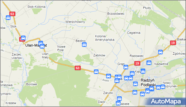 mapa Żabików gmina Radzyń Podlaski, Żabików gmina Radzyń Podlaski na mapie Targeo