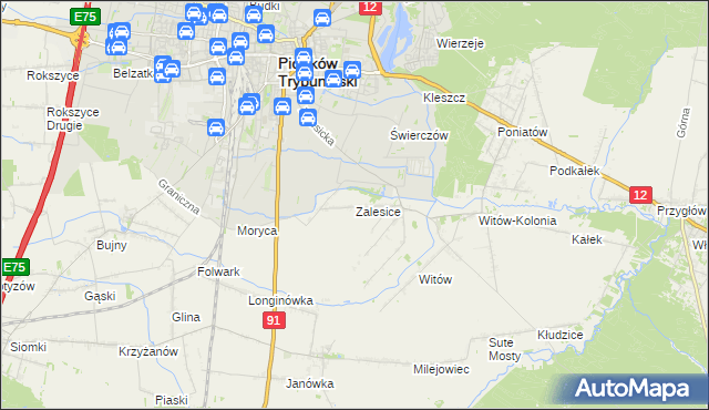 mapa Zalesice gmina Sulejów, Zalesice gmina Sulejów na mapie Targeo