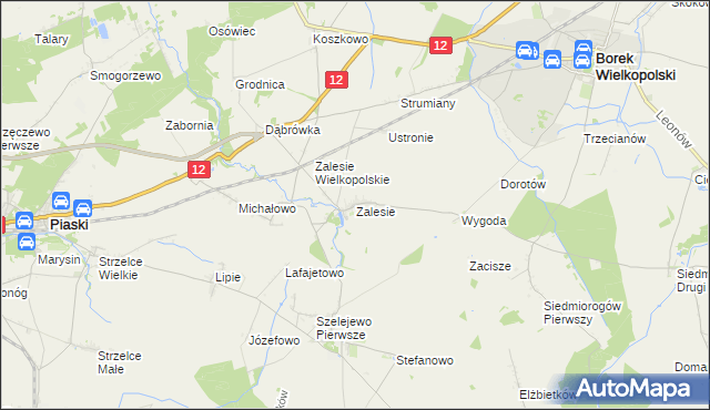mapa Zalesie gmina Borek Wielkopolski, Zalesie gmina Borek Wielkopolski na mapie Targeo