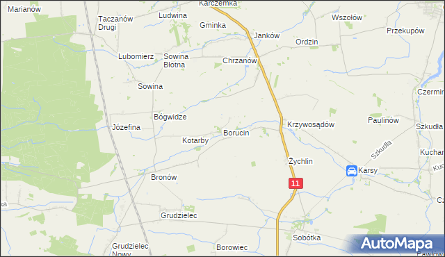 mapa Borucin gmina Pleszew, Borucin gmina Pleszew na mapie Targeo