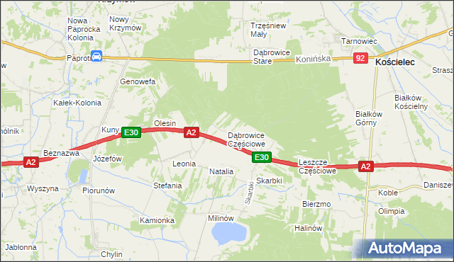 mapa Dąbrowice Częściowe, Dąbrowice Częściowe na mapie Targeo